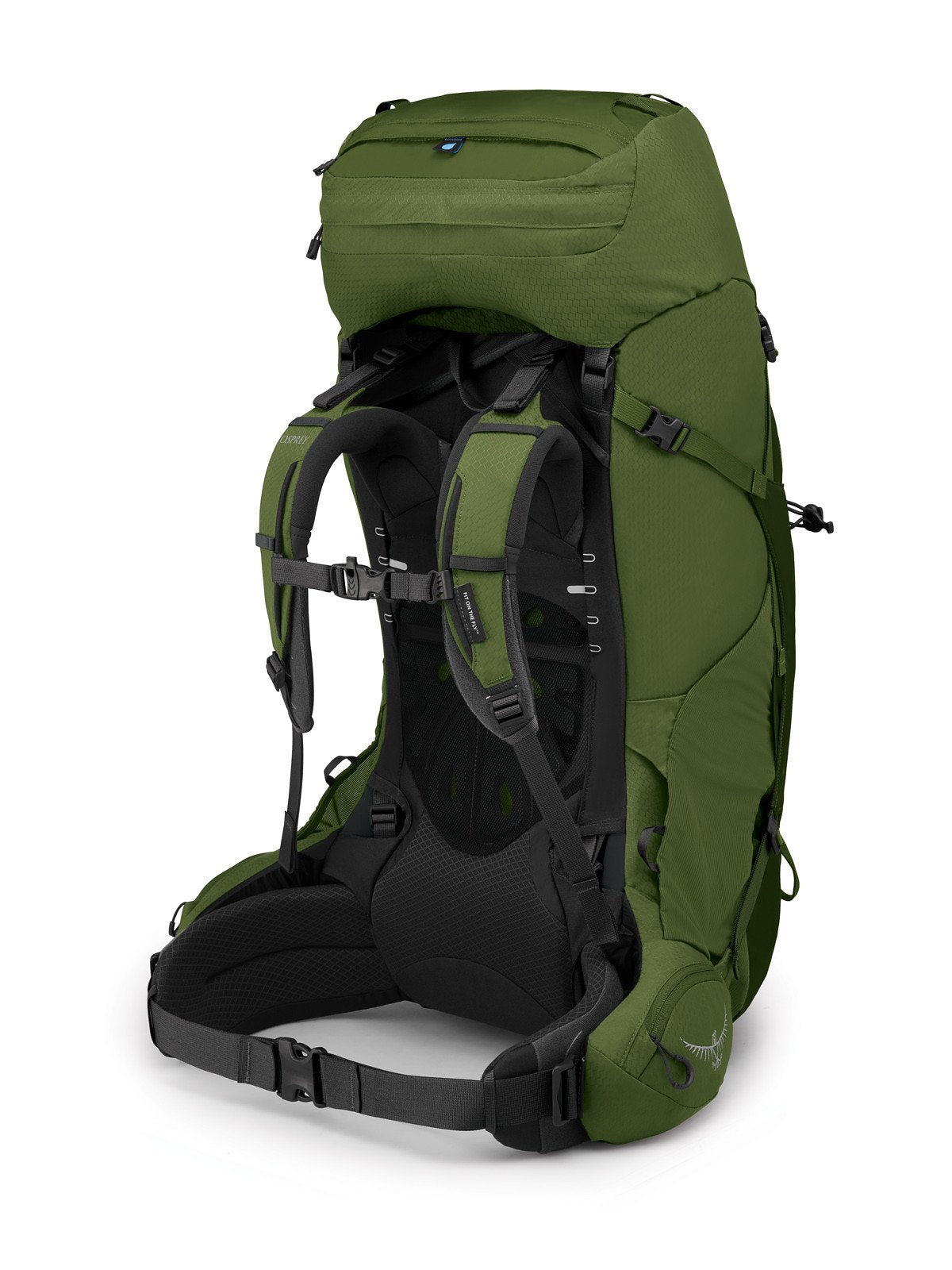 Osprey Aether 65 Hiking Backpack 65L in Garlic Mustard Green — angle view 2
