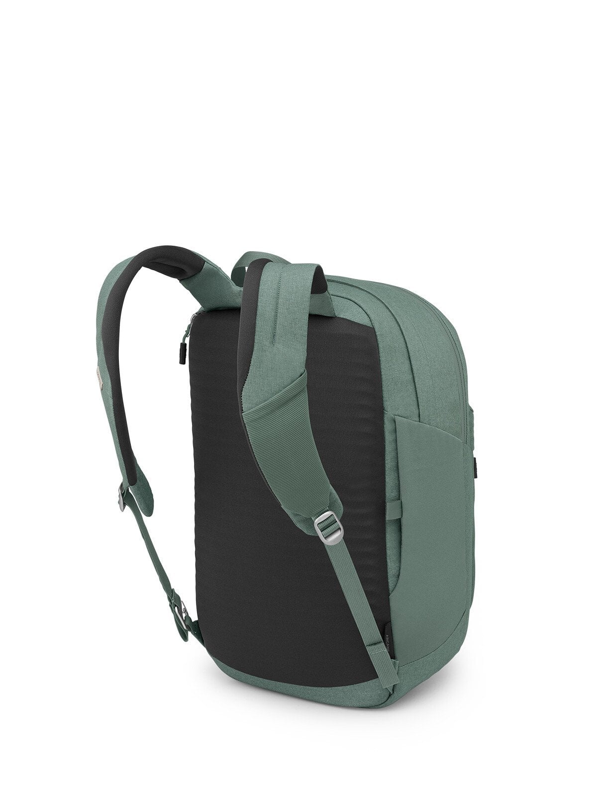 Osprey Arcane XL Daypack 30L in Pine Leaf Green Heather — back view