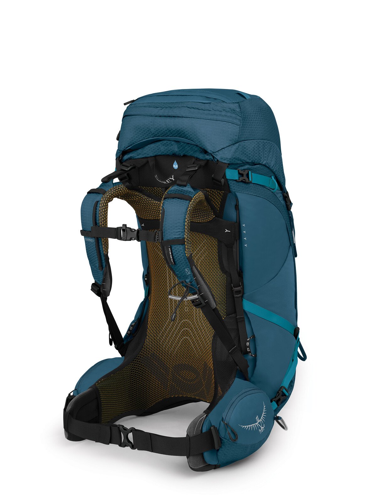Osprey Atmos AG 50 Backpacking Pack 50L in Venturi Blue — back view