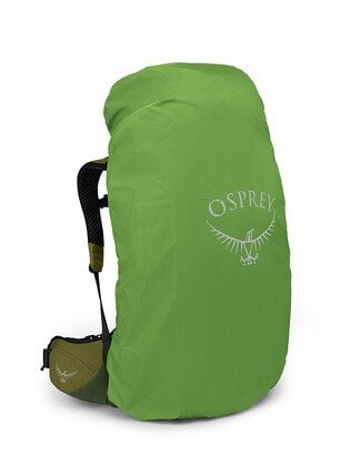 Osprey Atmos AG LT 65 Backpacking Pack 65L in Scenic Valley/Green Peppercorn — angle view 2