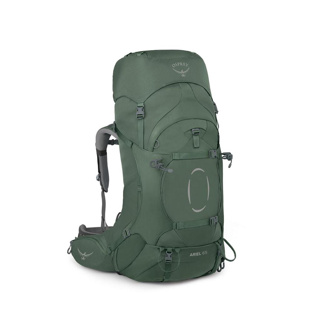 Osprey Ariel 65 Extended Fit Women's Hiking Backpack 65L in Koseret Green — front view