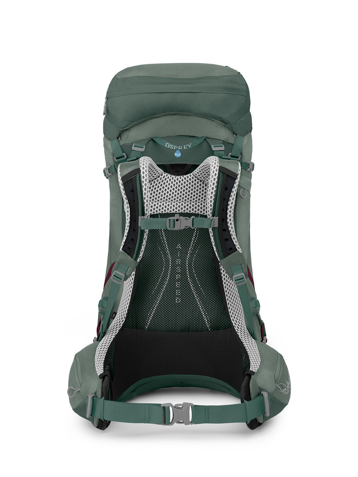 Osprey Aura AG LT 50 Backpacking Pack 50L in Koseret/Darjeeling Spring Green — back view 2