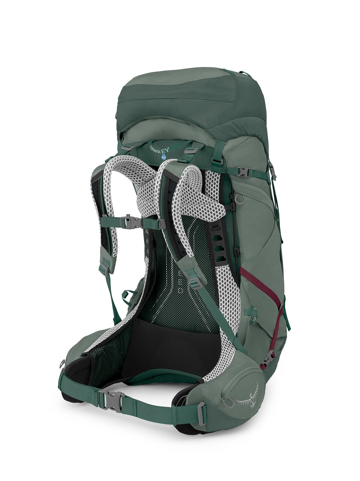 Osprey Aura AG LT 50 Backpacking Pack 50L in Koseret/Darjeeling Spring Green — back view