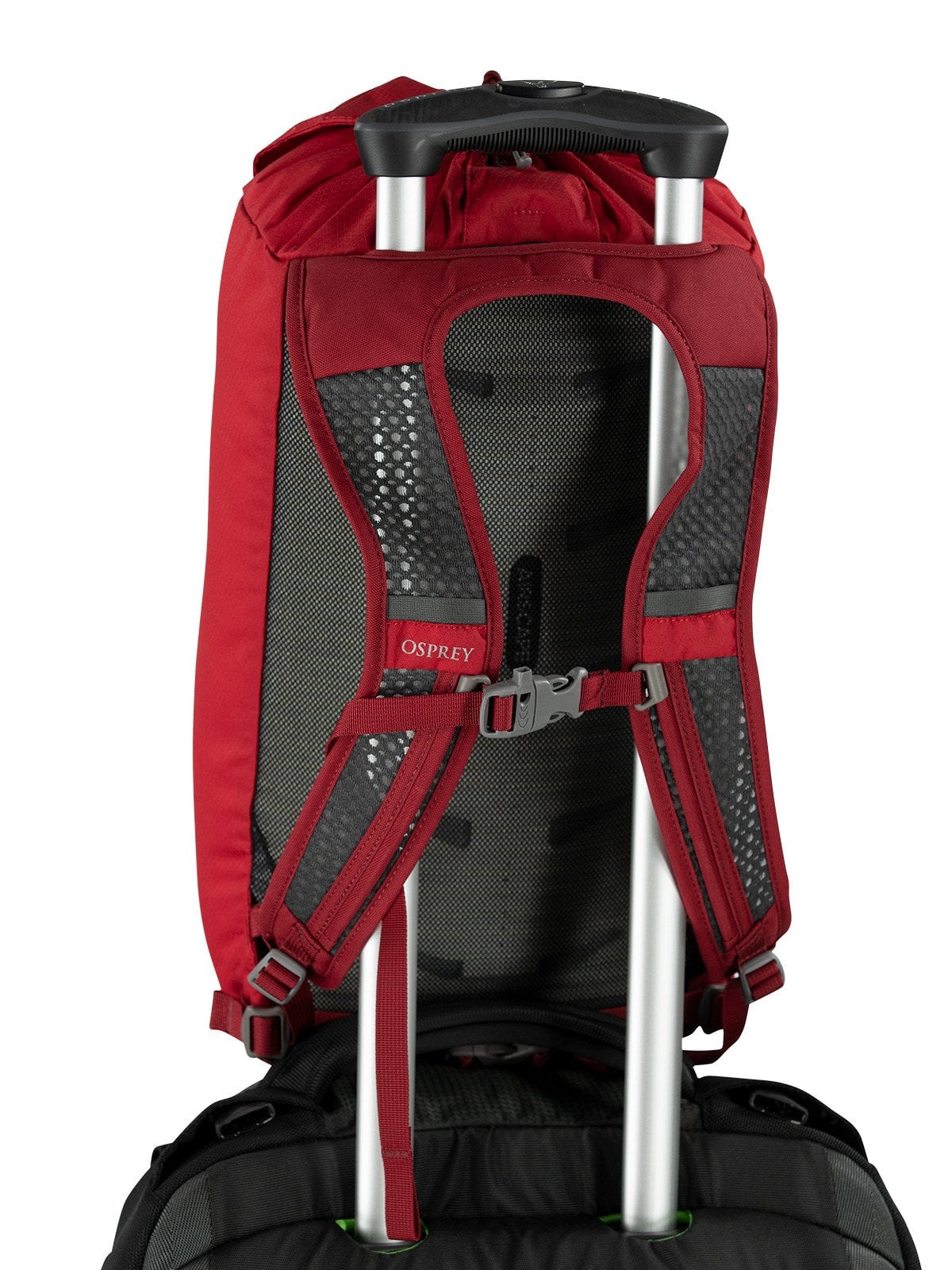 Osprey Daylite Cinch 15L in Cosmic Red — detail view