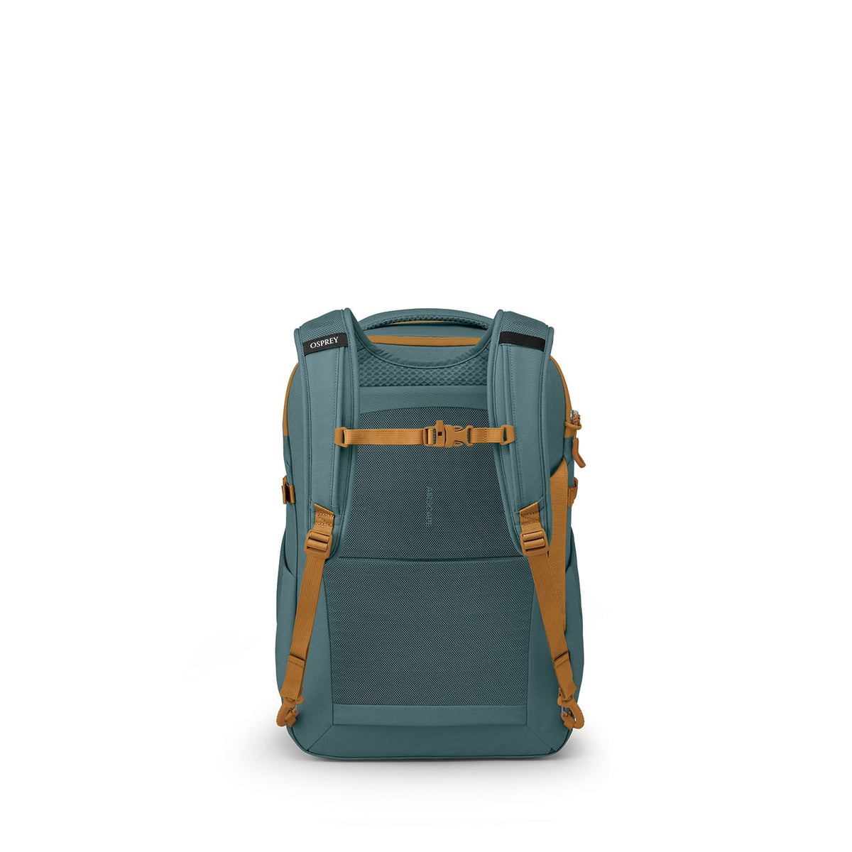 Osprey Daylite Carry-On Travel Pack 35L in Torrent Blue/Barley Brown — back view