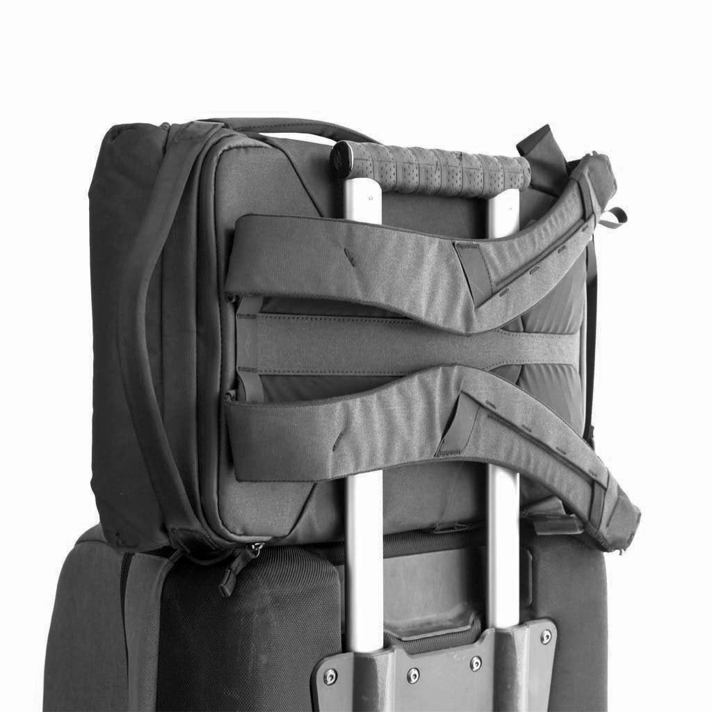 Peak Design Everyday Backpack 30L in Black — back view