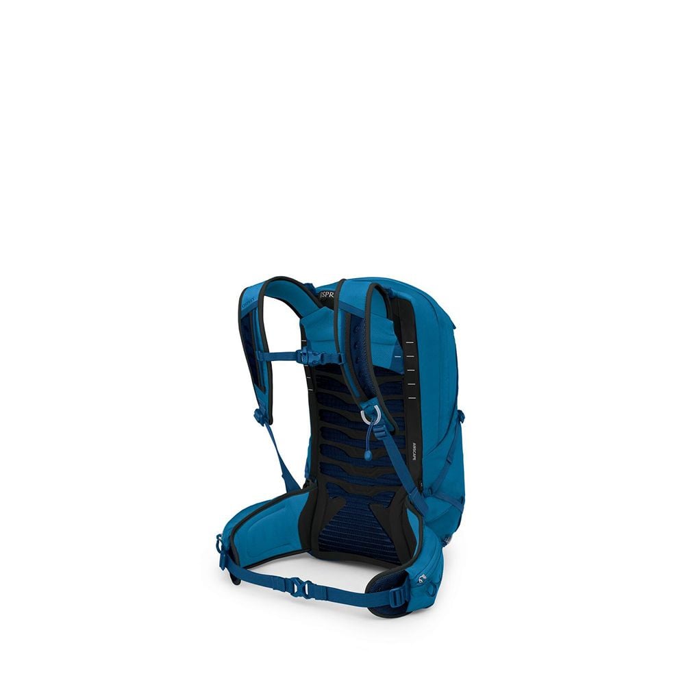 Osprey Talon 22 Hiking Backpack 22L in Night Shift/Scoria Blue — back view