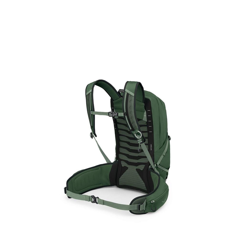 Osprey Talon 22 Extended Fit Hiking Backpack 22L in Green Canopy/Pine Leaf — back view