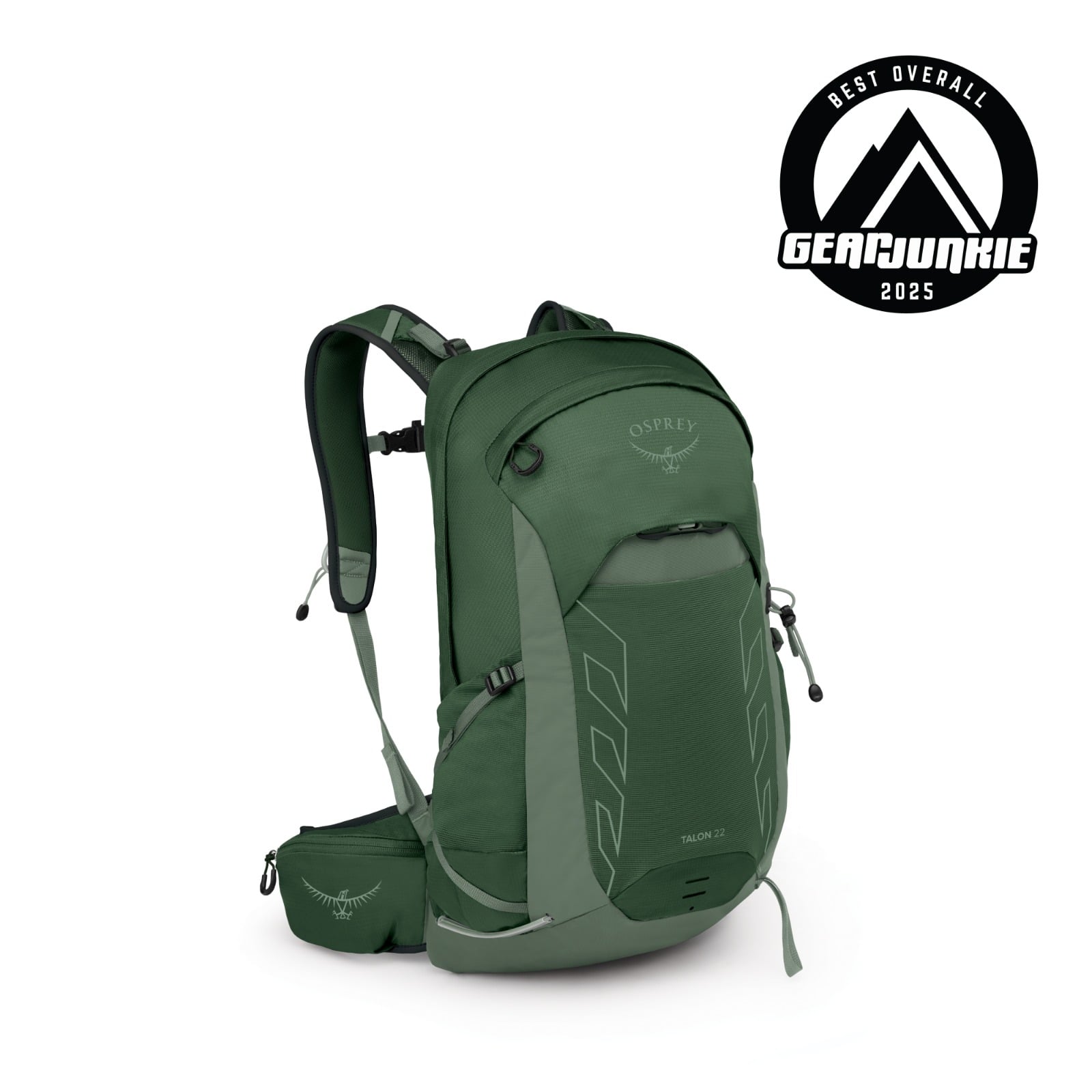 Osprey Talon 22 Hiking Backpack 22L in Green Canopy/Pine Leaf — front view