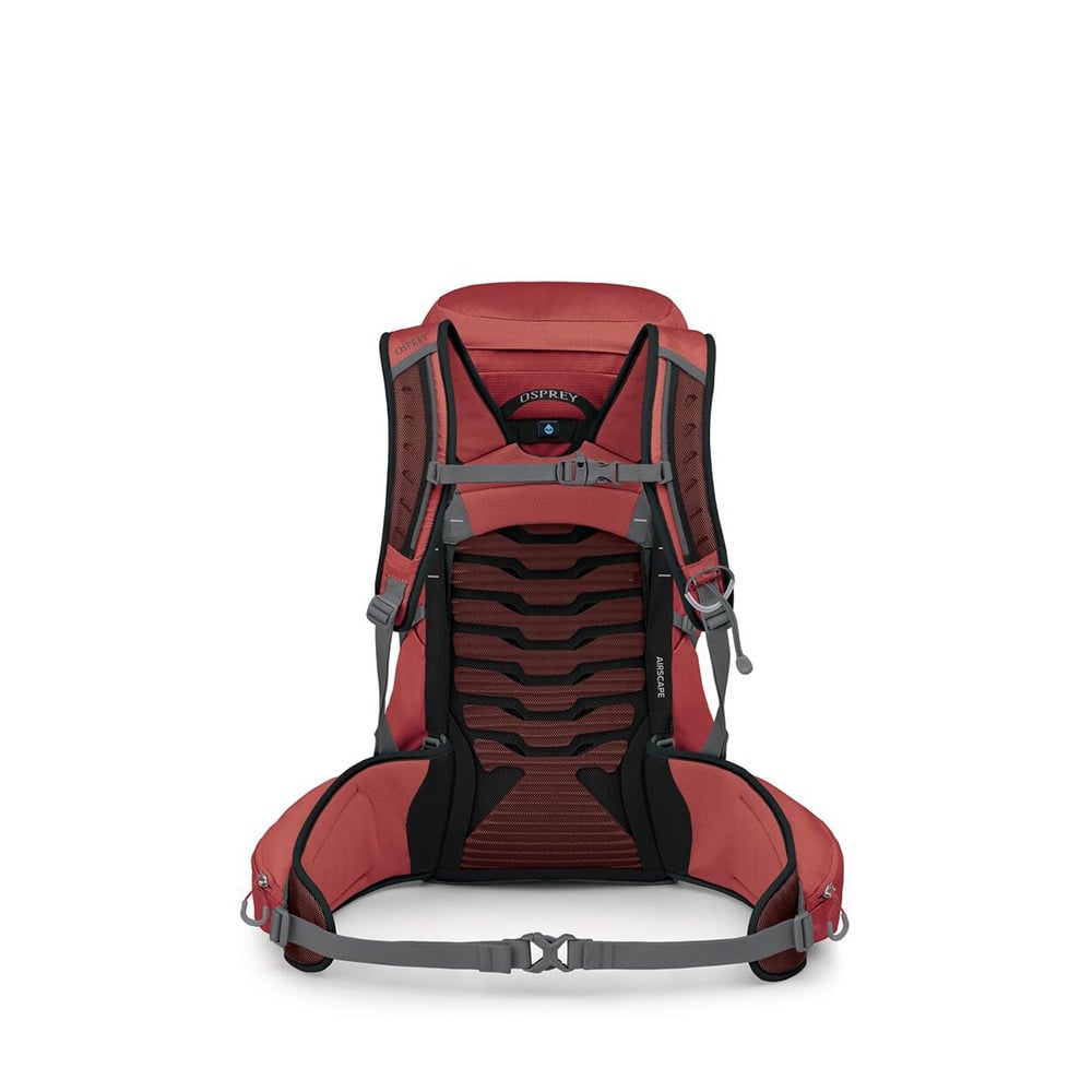 Osprey Tempest 33 Extended Fit Hiking Backpack 33L in Red Pampas/Coal Grey — back view