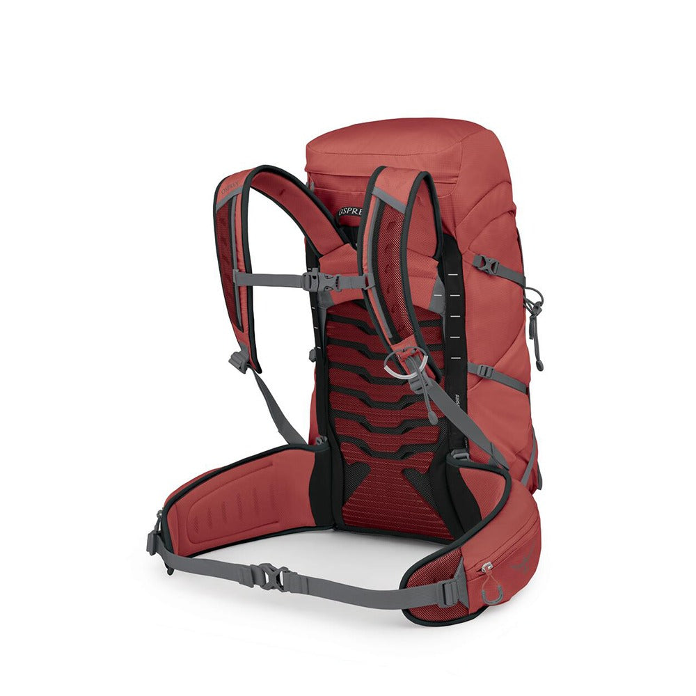 Osprey Tempest 33 Extended Fit Hiking Backpack 33L in Red Pampas/Coal Grey — angle view 3