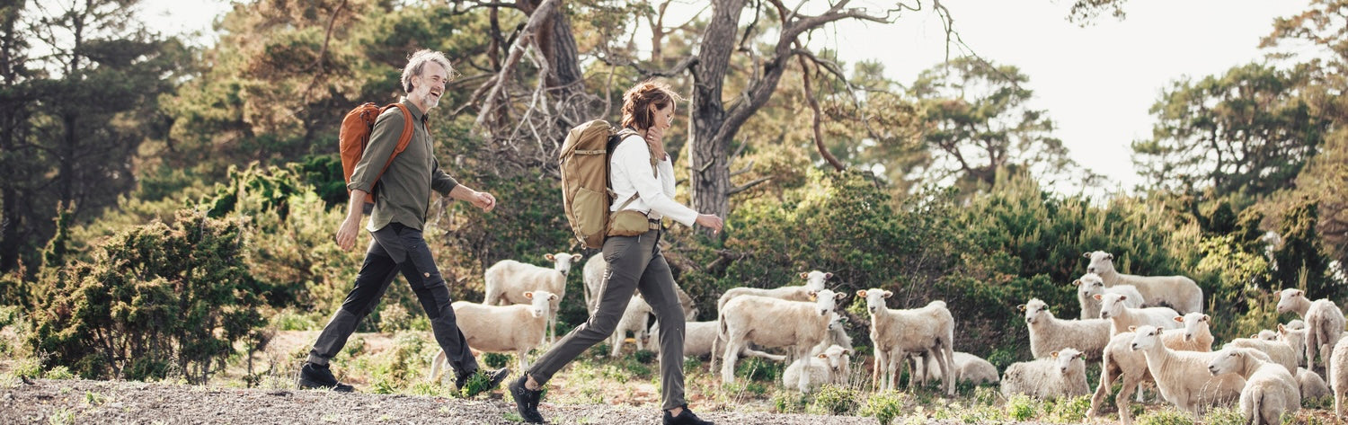 Two hikers wearing outdoor backpacks while walking through a scenic countryside landscape surrounded by grazing sheep.