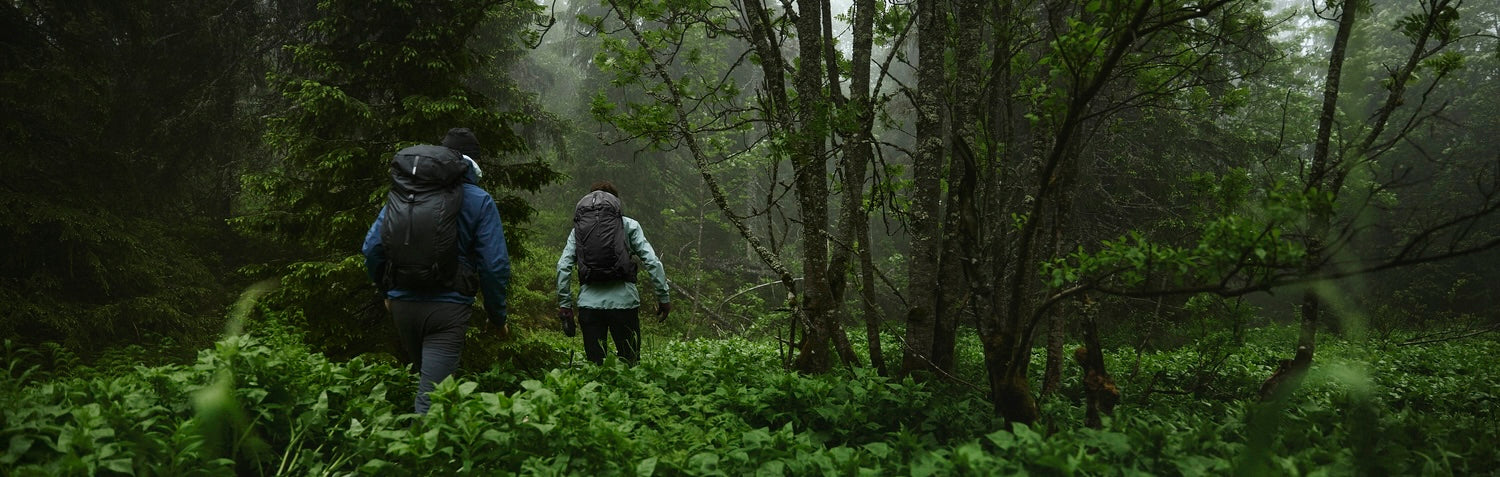 Two hikers carrying outdoor backpacks while trekking through a dense green forest in misty rainy conditions.