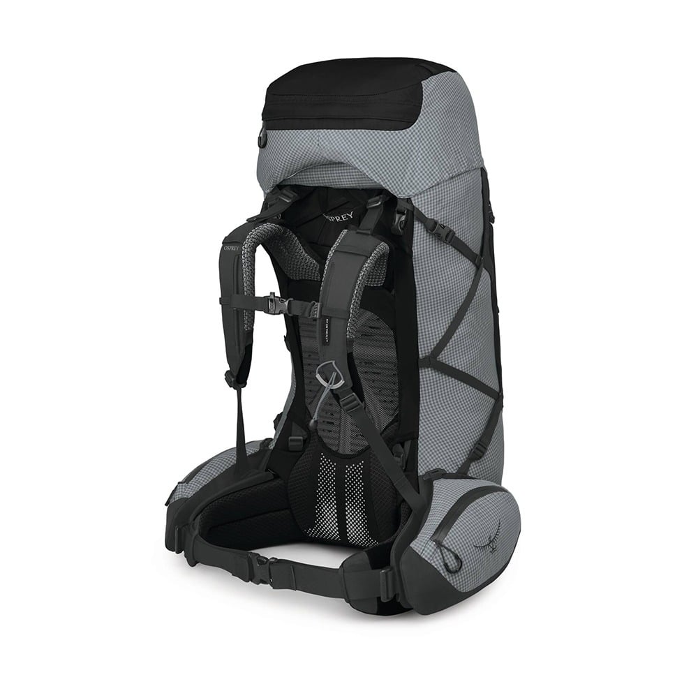 Osprey Ariel Pro 75 Backpacking Pack 75L in Silver Lining — back view 2