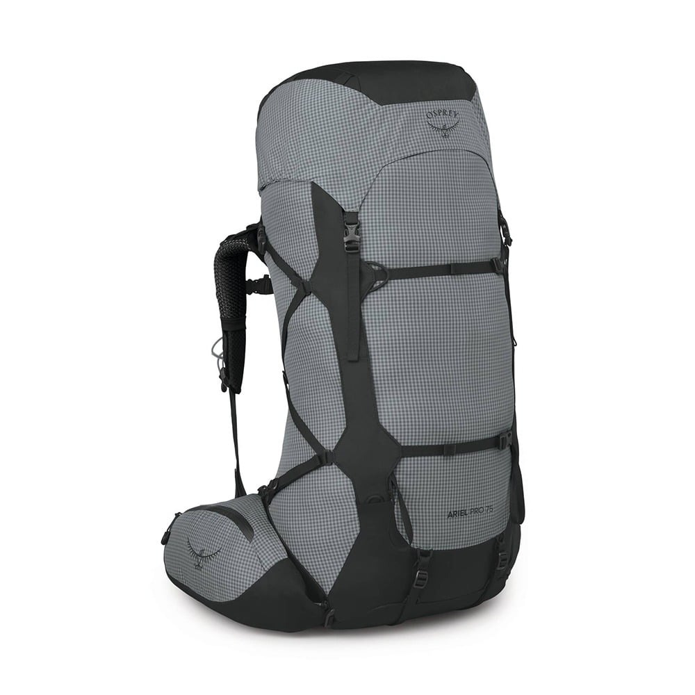 Osprey Ariel Pro 75 Backpacking Pack 75L in Silver Lining — angle view 2