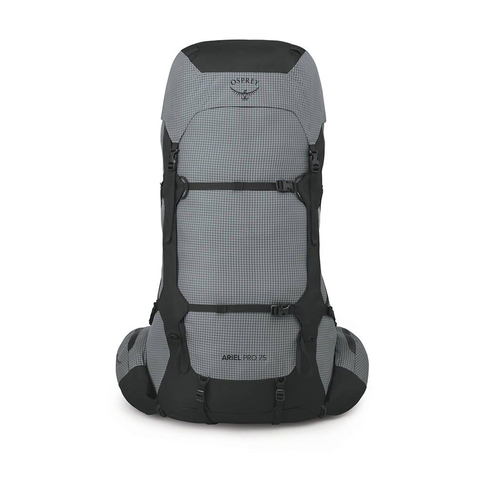 Osprey Ariel Pro 75 Backpacking Pack 75L in Silver Lining — front view