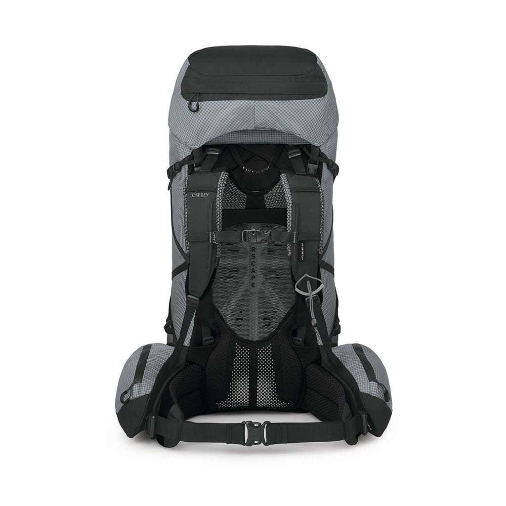 Osprey Aether Pro 75 Hiking Backpack 75L in Silver Lining — back view