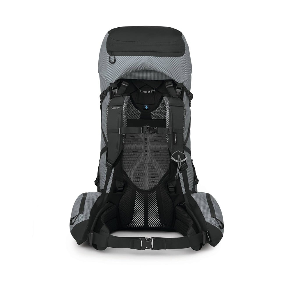 Osprey Ariel Pro 75 Backpacking Pack 75L in Silver Lining — back view