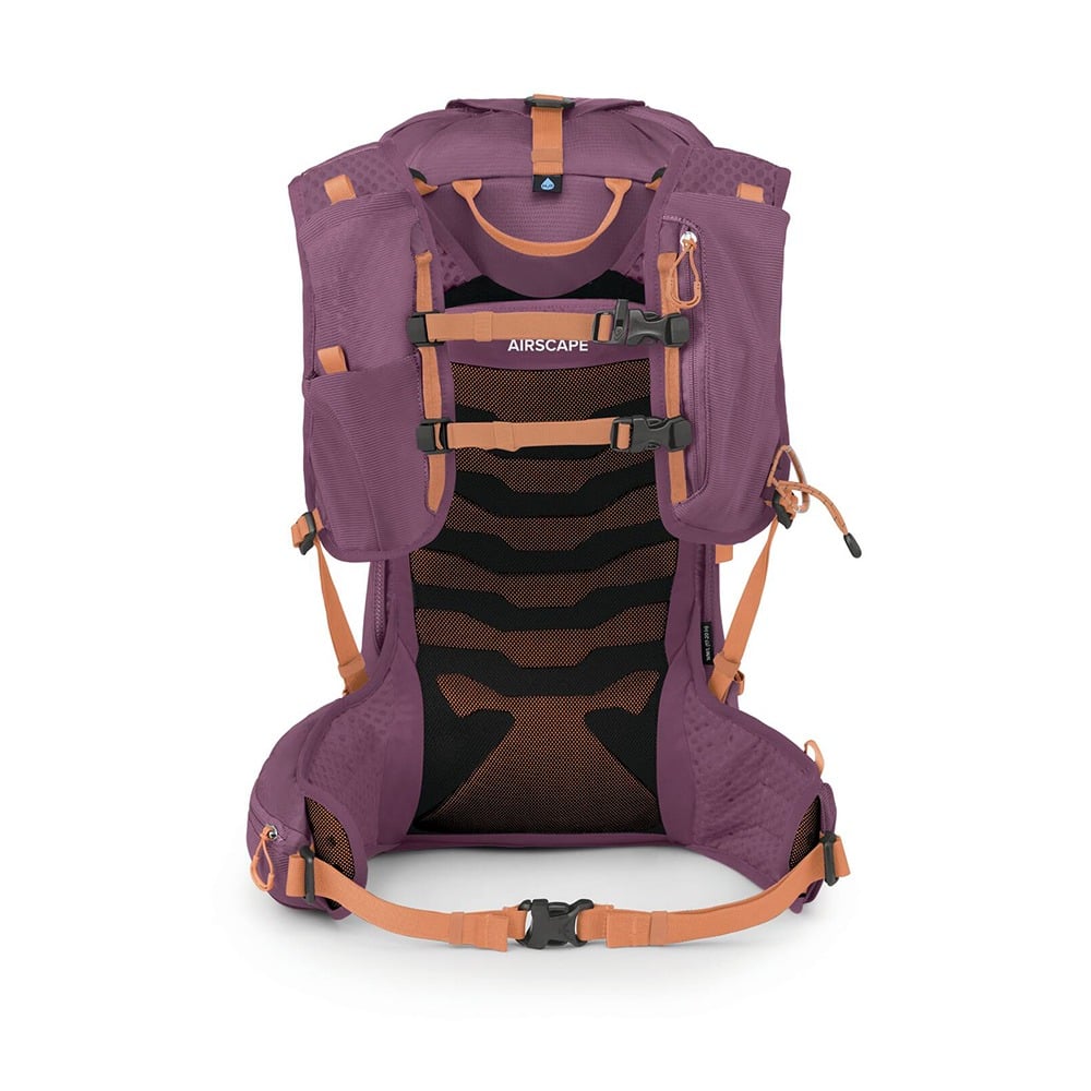 Osprey Tempest Velocity 20 Hiking Backpack 20L in Pashmina Melon — back view