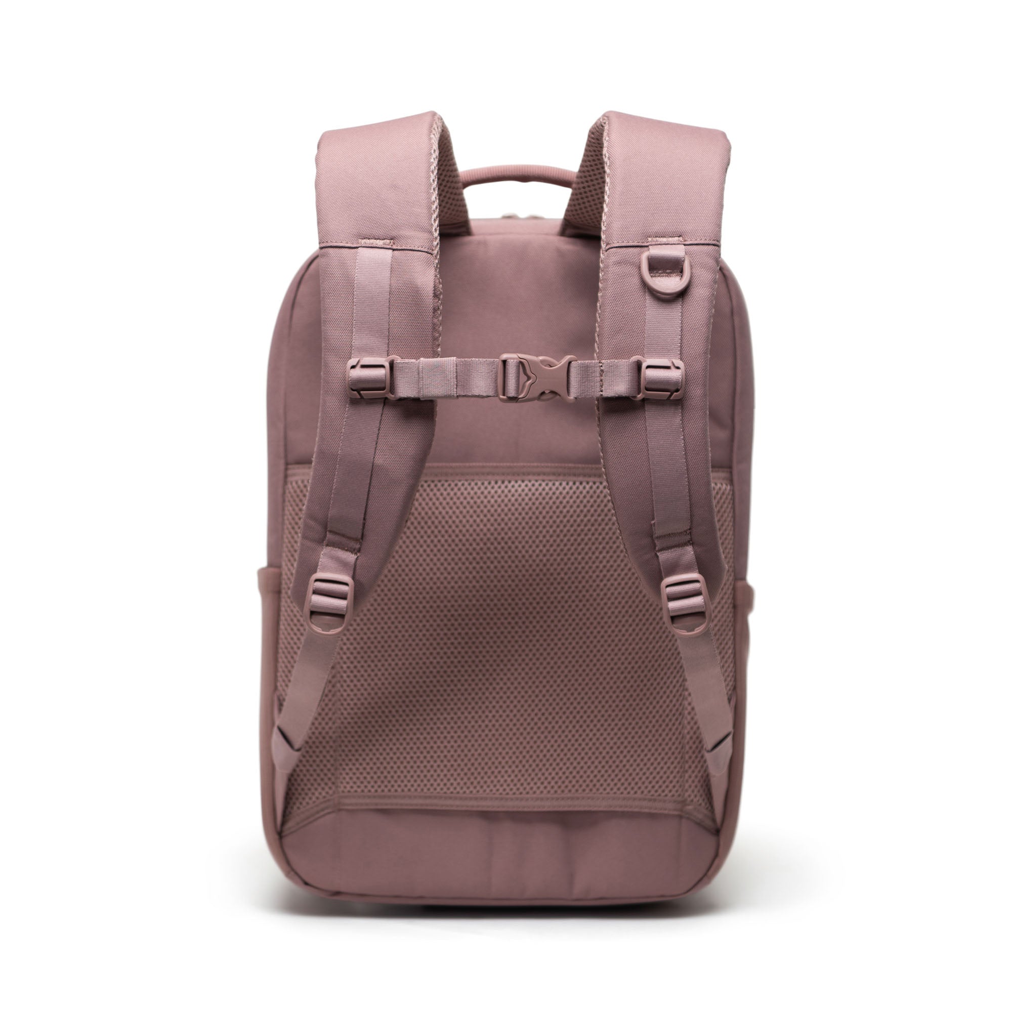 Herschel Kaslo Daypack Tech 20L in Ash Rose Tonal — back view
