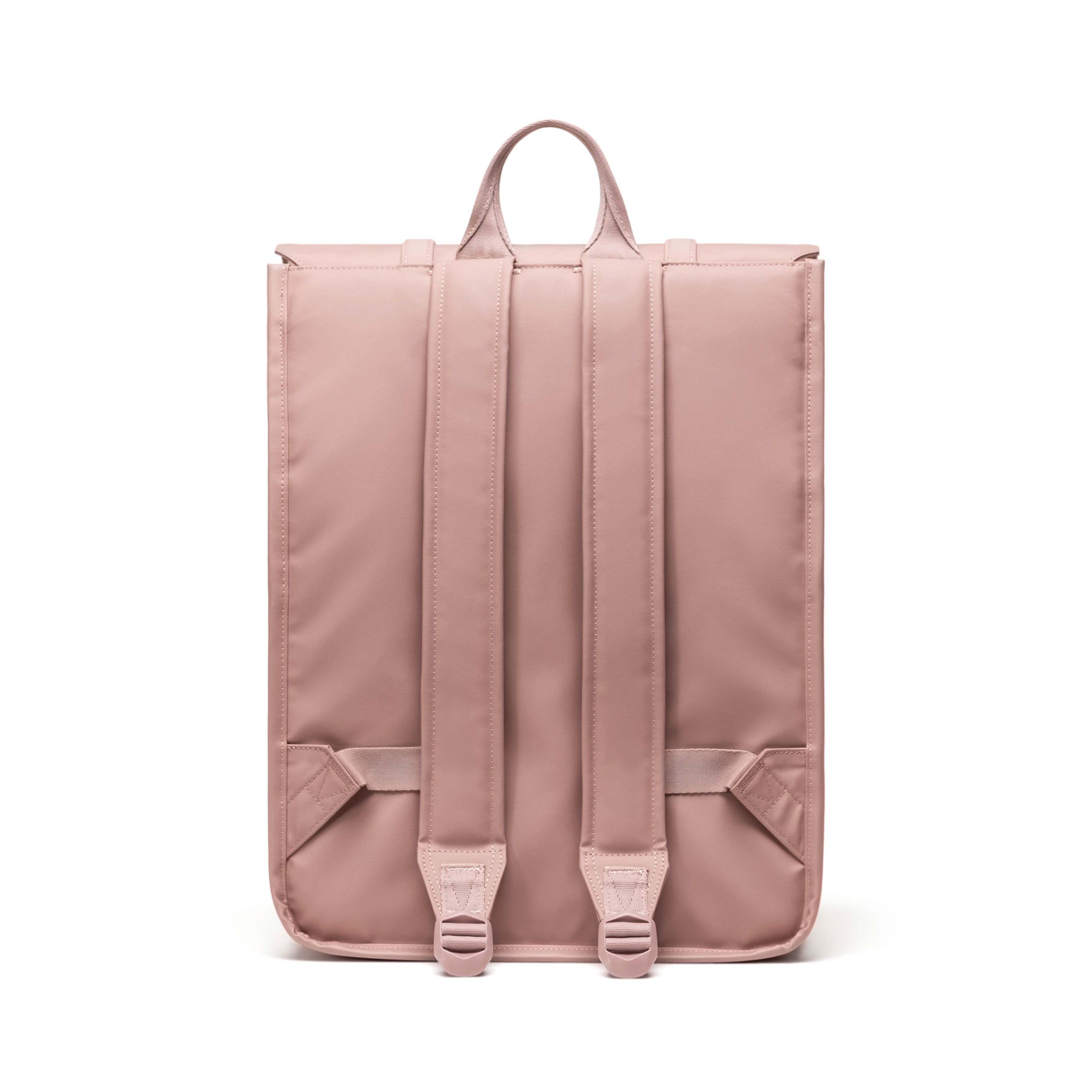 Herschel Survey Backpack Weather Resistant 24L in Ash Rose — back view
