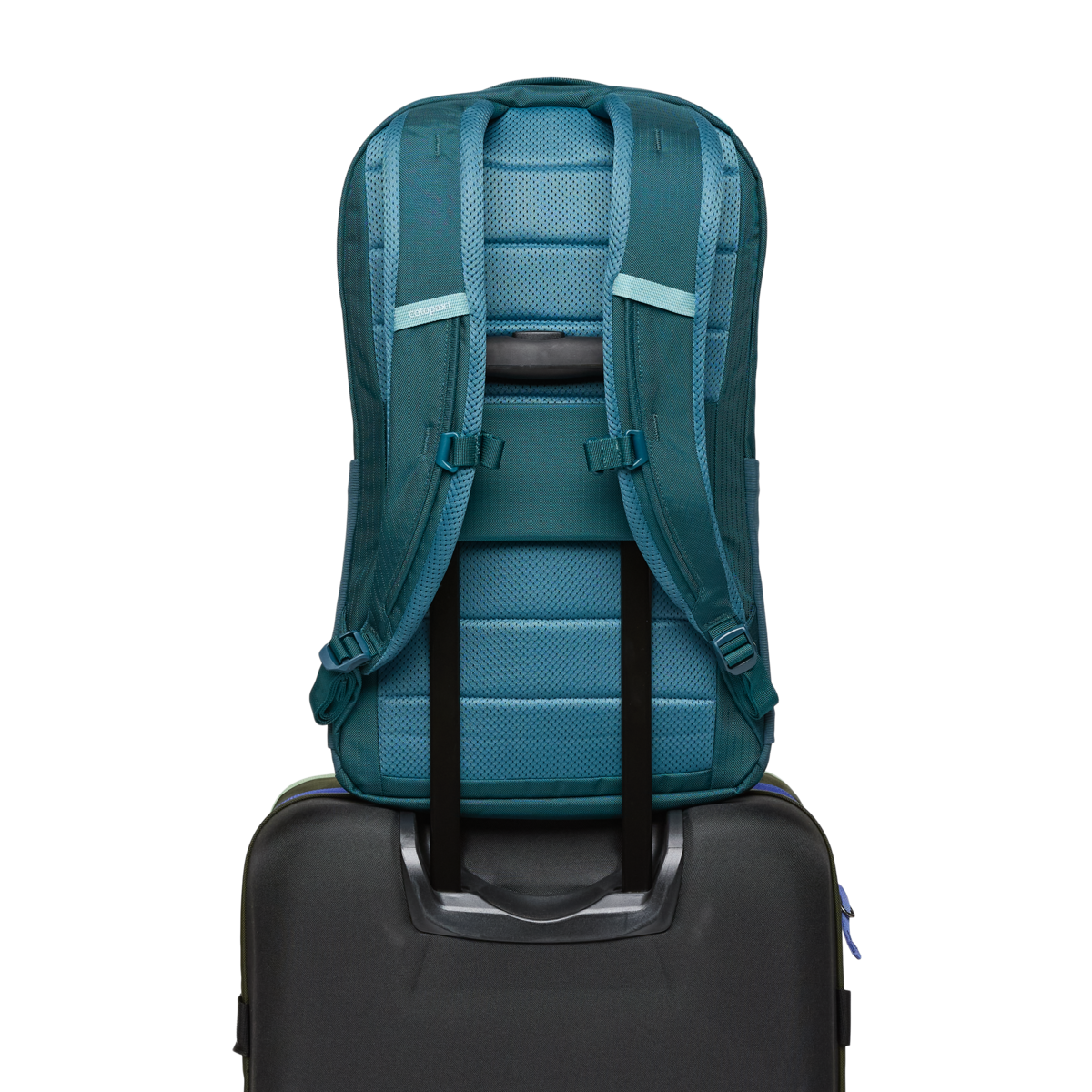 Cotopaxi Allpa 26L Daypack in Blue Spruce/Abyss — angle view 6