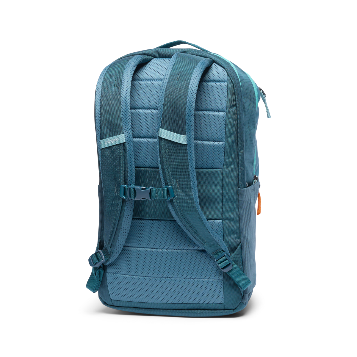 Cotopaxi Allpa 26L Daypack in Blue Spruce/Abyss — back view