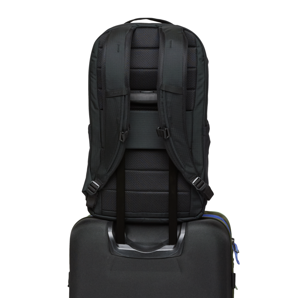 Cotopaxi Allpa 26L Daypack in Black — lifestyle