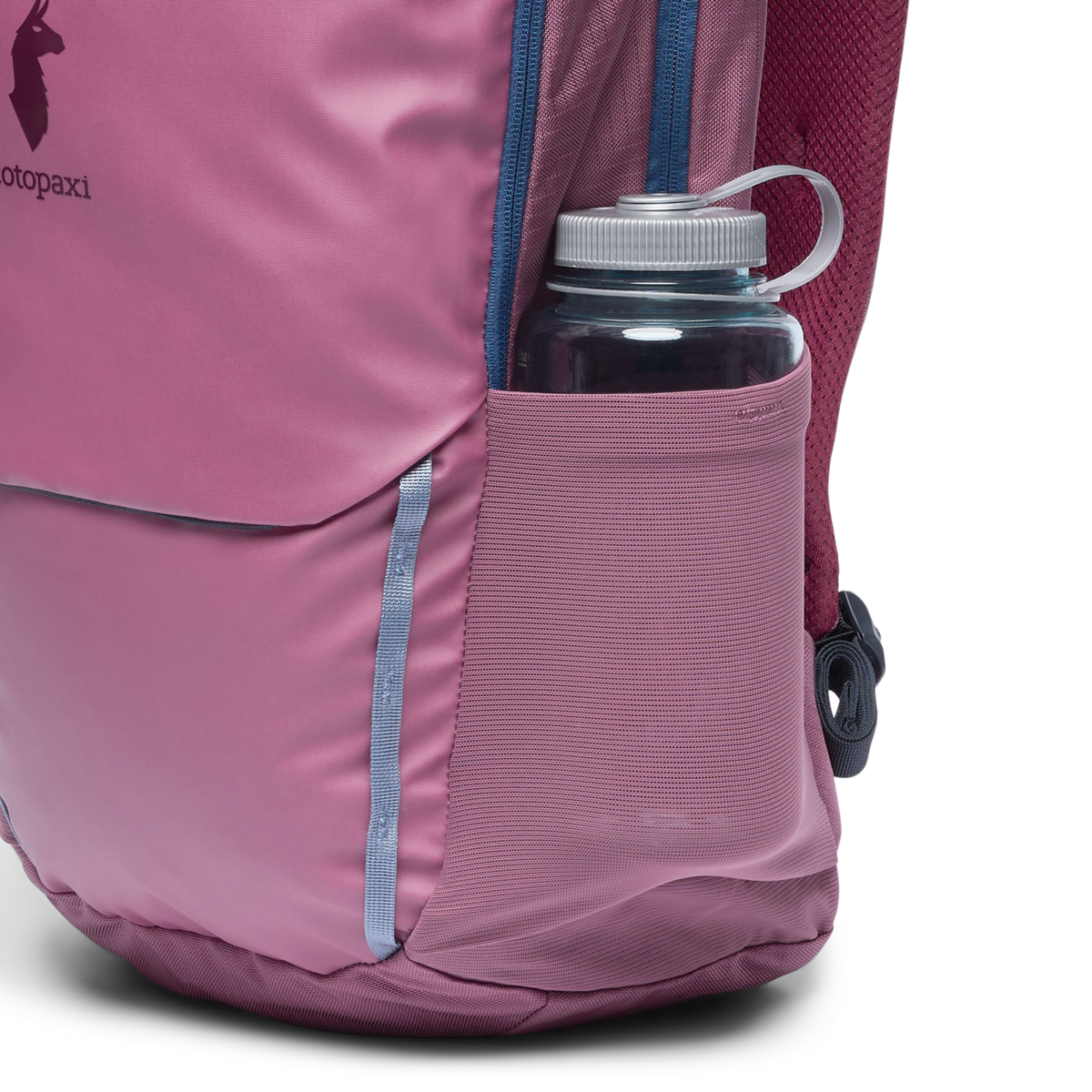 Cotopaxi Allpa 26L Daypack in Fig — angle view 3