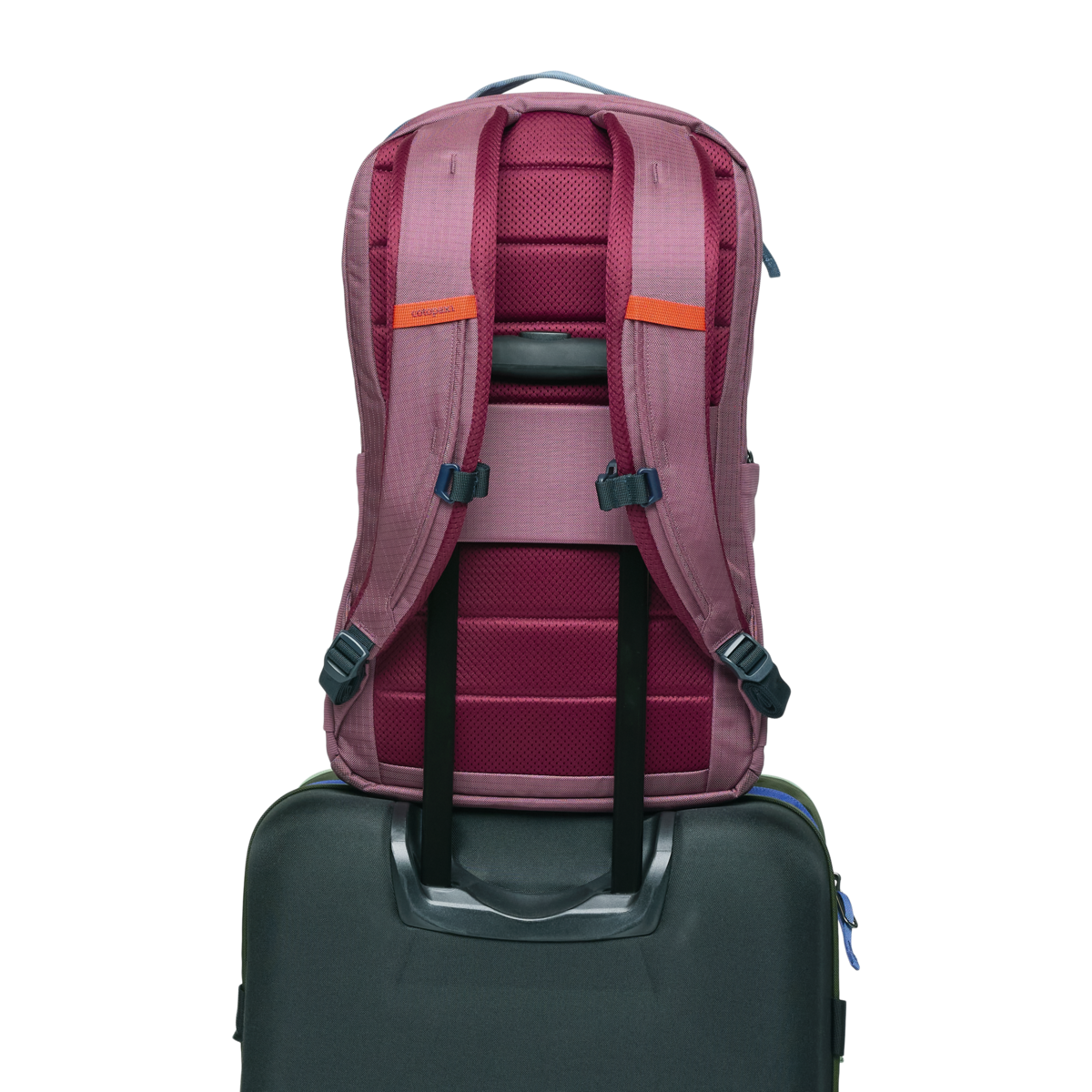 Cotopaxi Allpa 26L Daypack in Fig — angle view 6