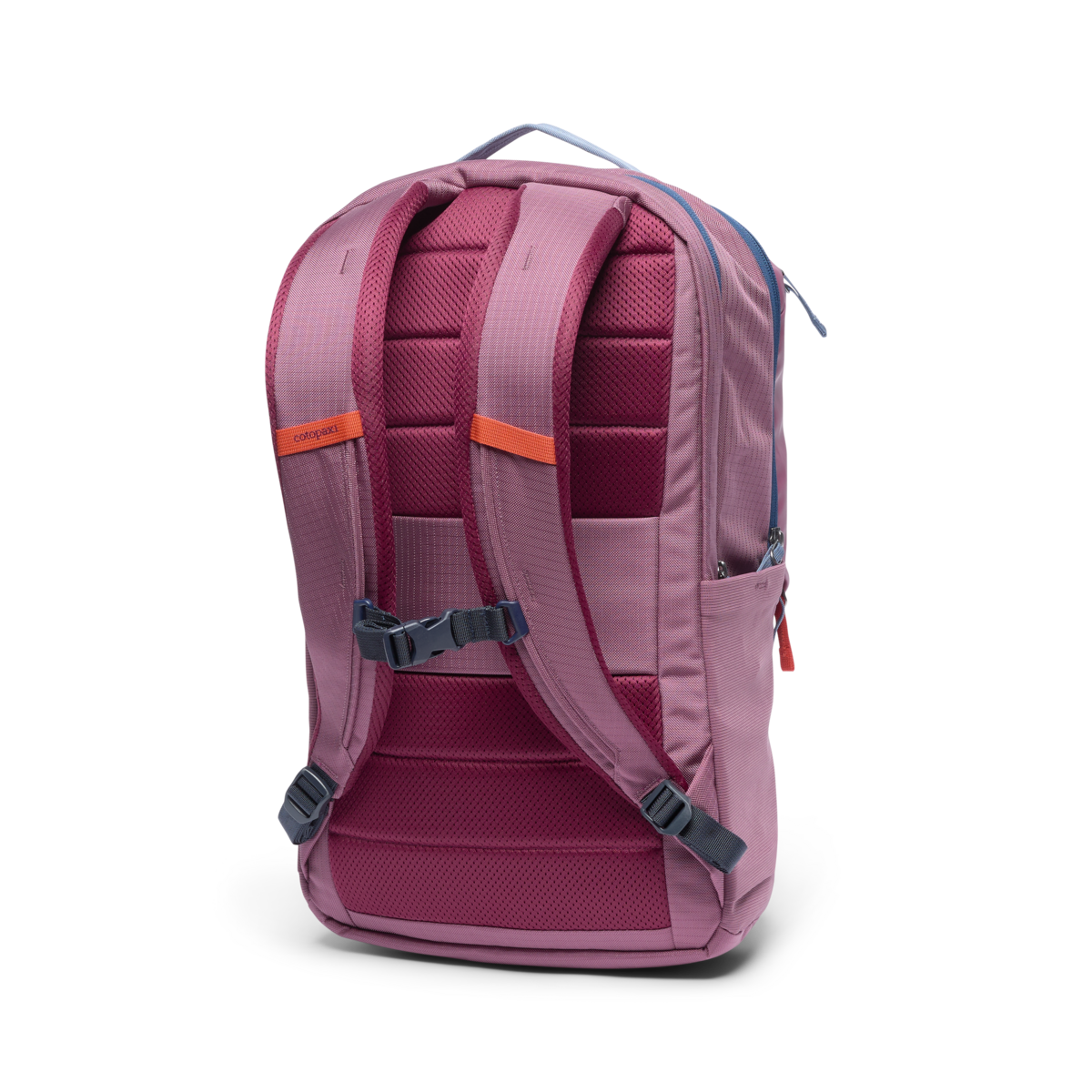 Cotopaxi Allpa 26L Daypack in Fig — back view