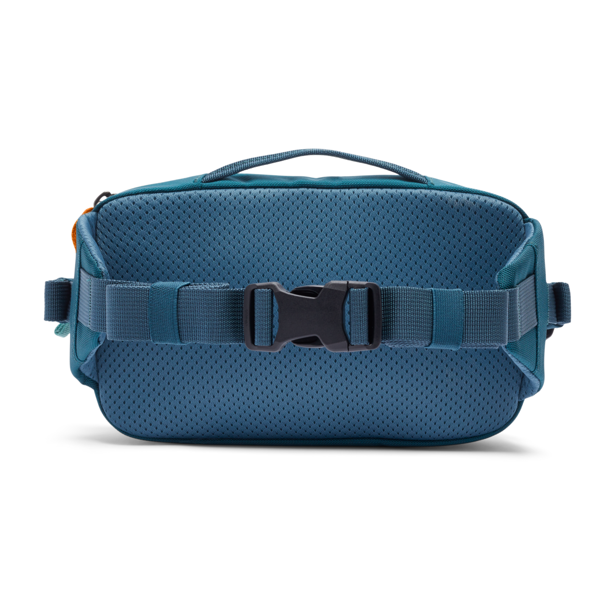Cotopaxi Allpa X 1.5L Hip Pack in Blue Spruce/Abyss — back view