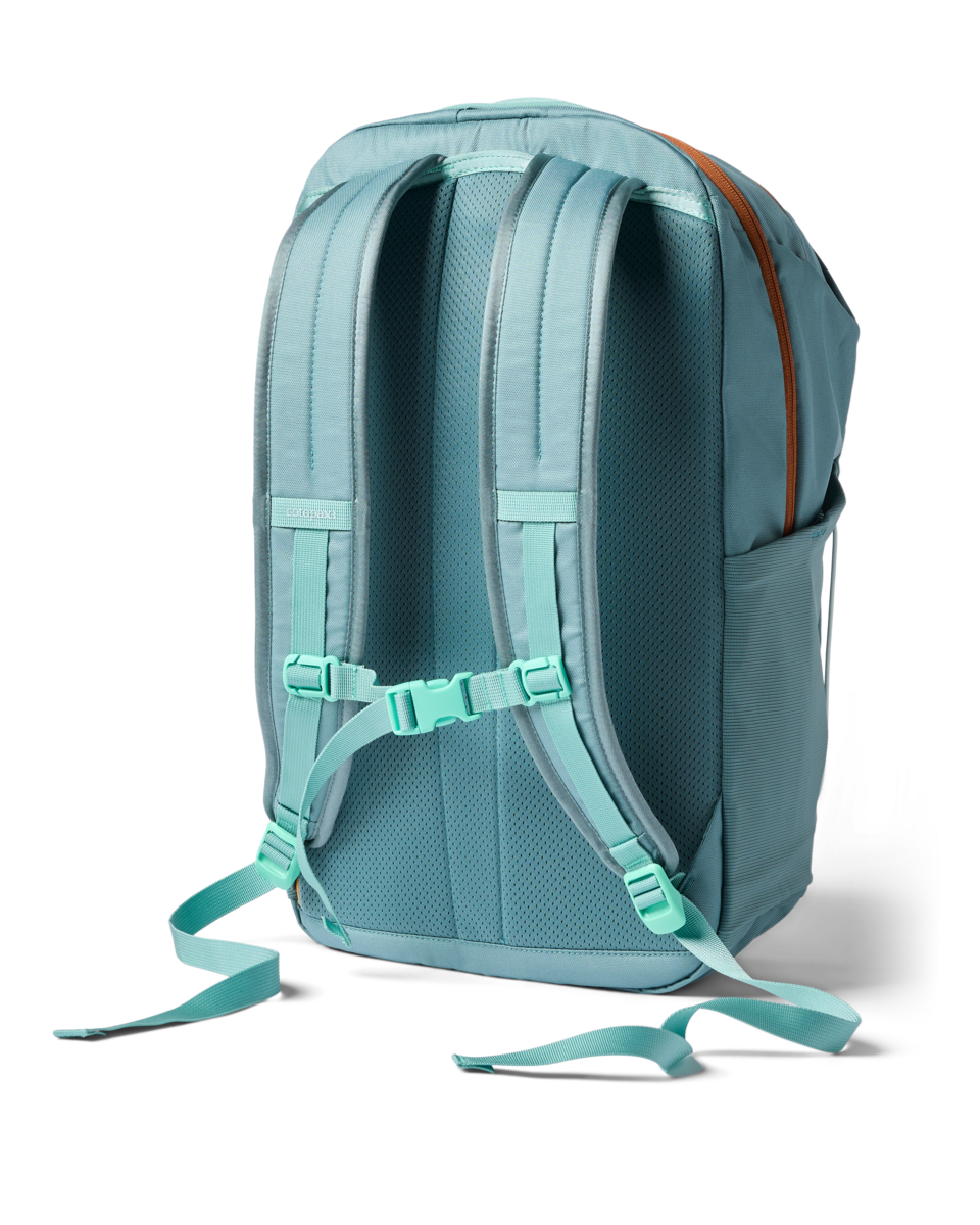 Cotopaxi Abierto 26L Daypack in Everglade — back view