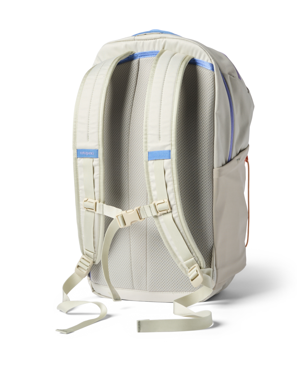 Cotopaxi Abierto 26L Daypack in Mineral — back view