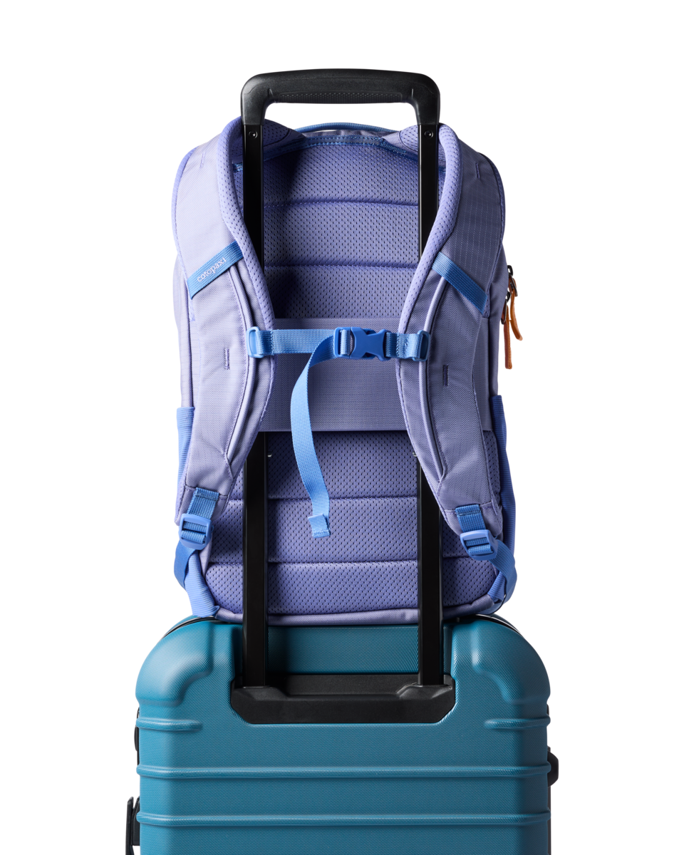 Cotopaxi Allpa 18L Daypack in Aster — angle view 4