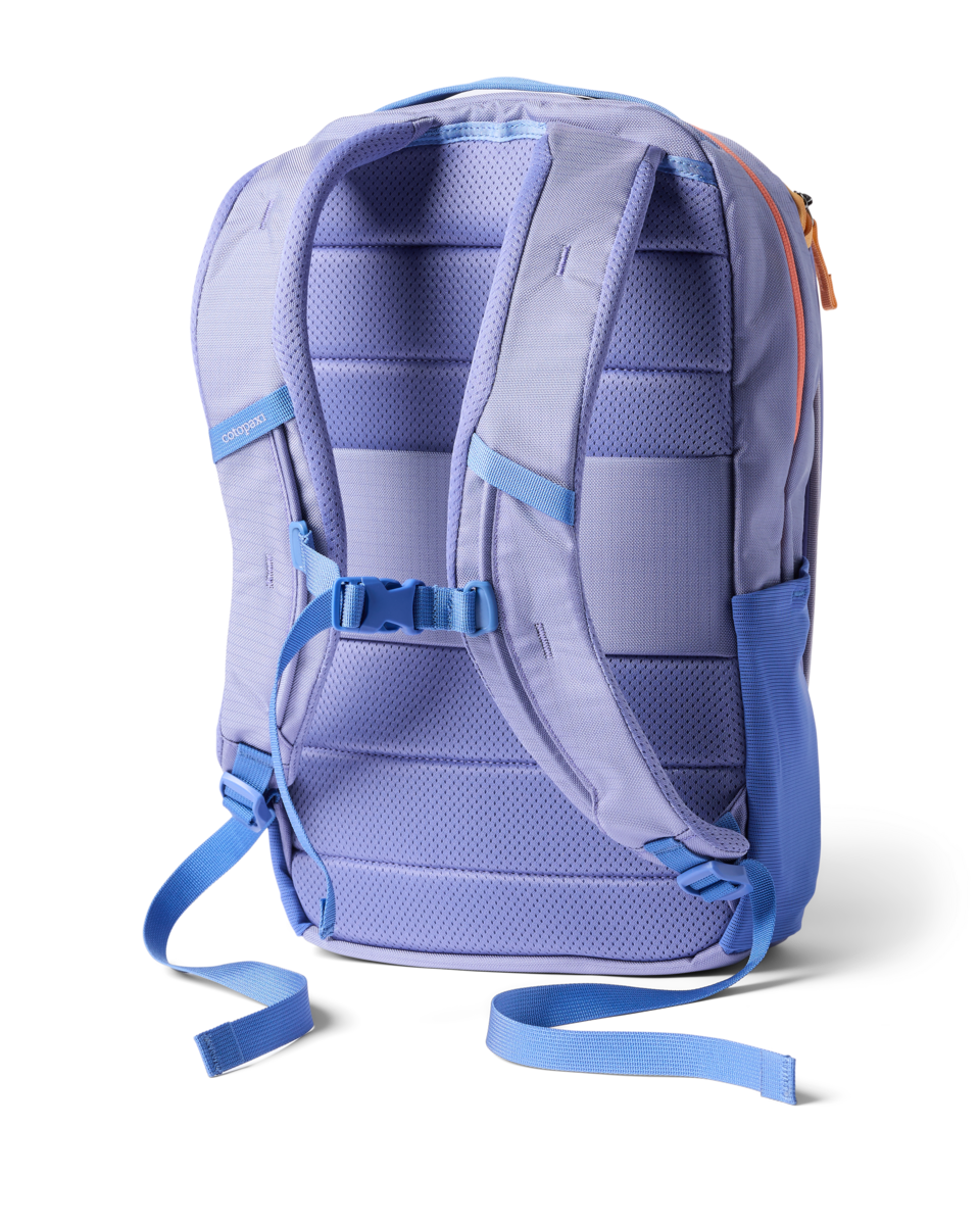 Cotopaxi Allpa 18L Daypack in Aster — back view