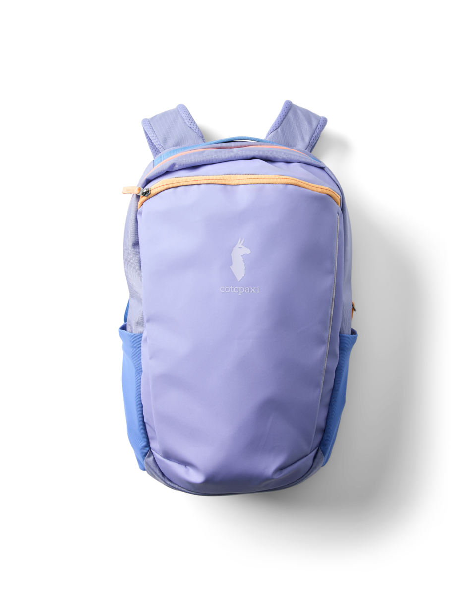 Cotopaxi Allpa 18L Daypack in Aster — lifestyle view