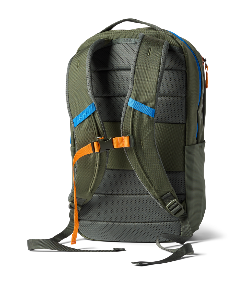 Cotopaxi Allpa 18L Daypack in Fatigue — back view