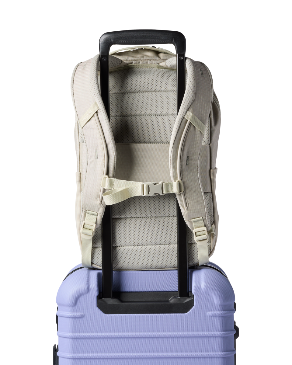 Cotopaxi Allpa 18L Daypack in Mineral — angle view 4