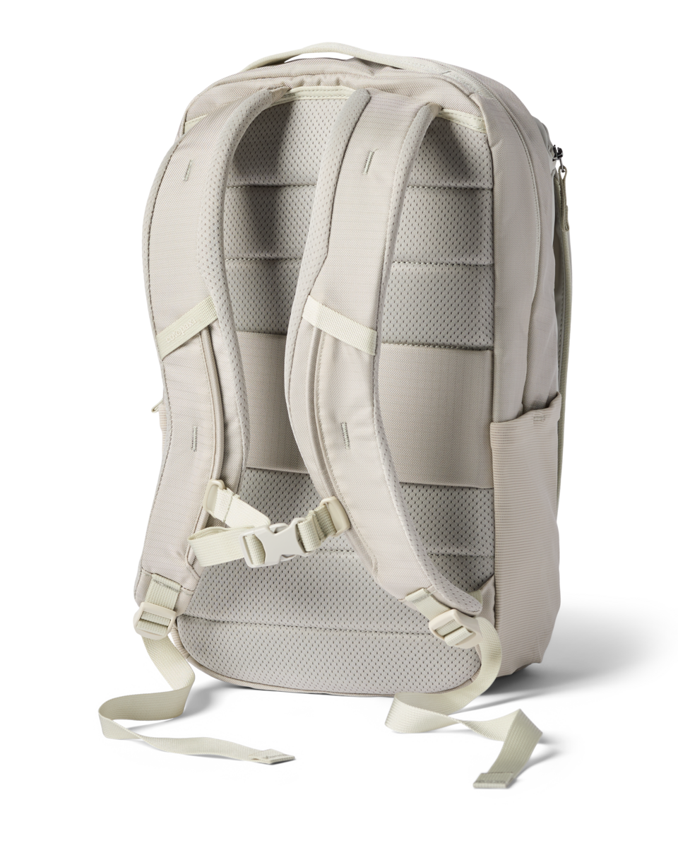 Cotopaxi Allpa 18L Daypack in Mineral — back view