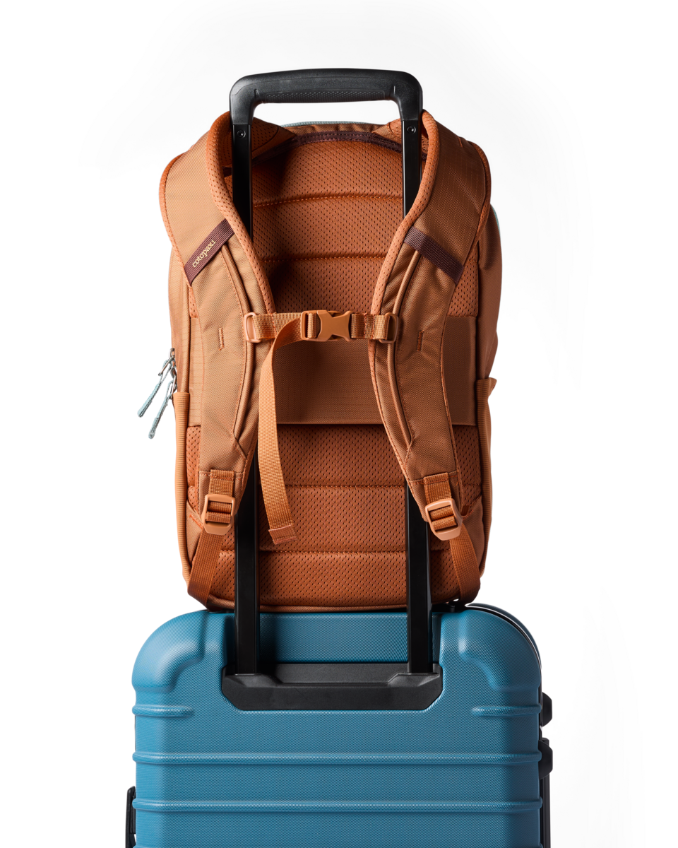 Cotopaxi Allpa 18L Daypack in Whiskey — angle view 4