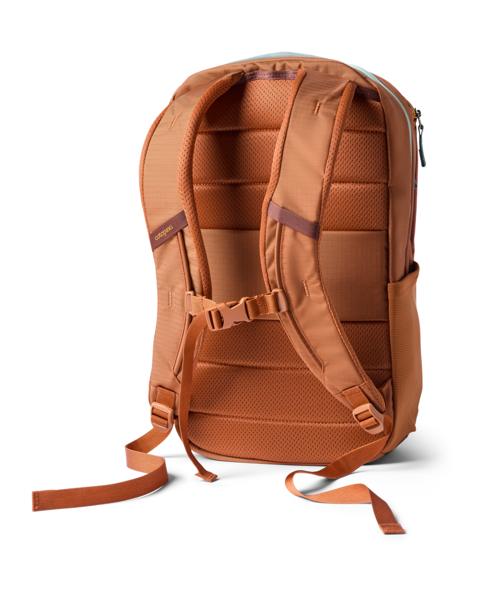 Cotopaxi Allpa 18L Daypack in Whiskey — back view