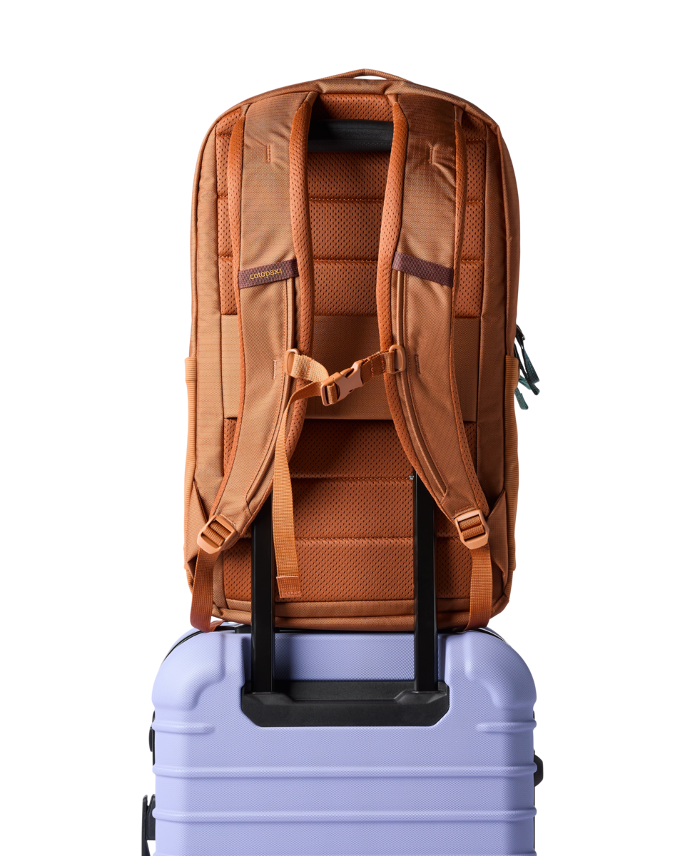Cotopaxi Allpa 26L Daypack in Whiskey — angle view 3