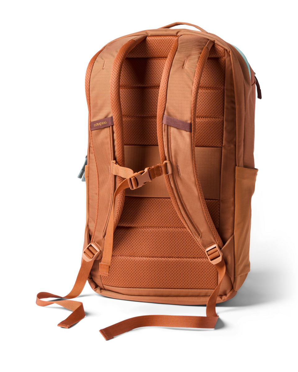 Cotopaxi Allpa 26L Daypack in Whiskey — back view
