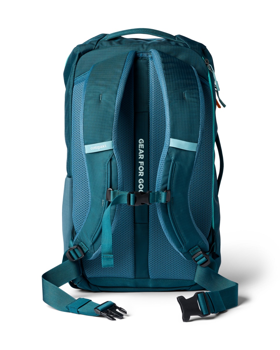 Cotopaxi Allpa 28L Travel Pack in Blue Spruce/Abyss — back view
