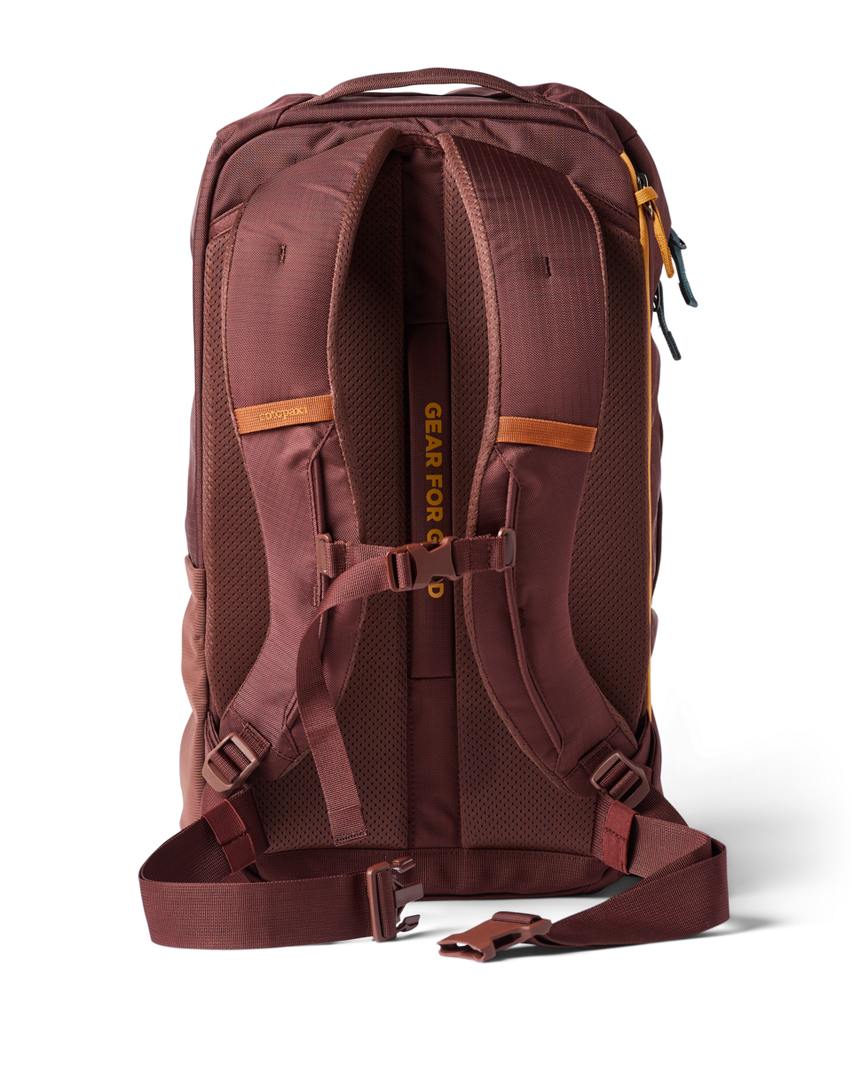 Cotopaxi Allpa 28L Travel Pack in Whiskey — back view