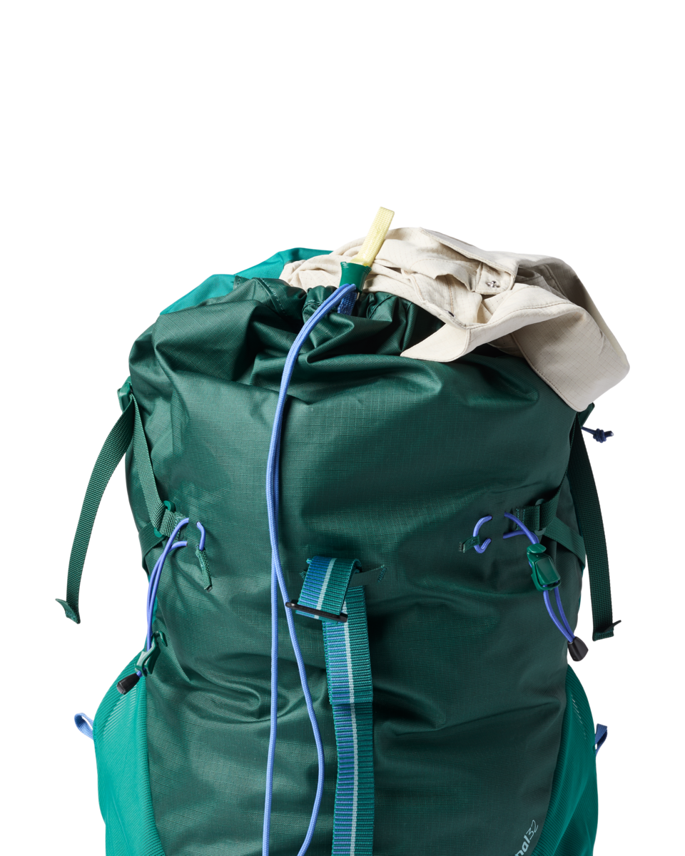 Cotopaxi Arenal 32L Backpack in Kale — interior view