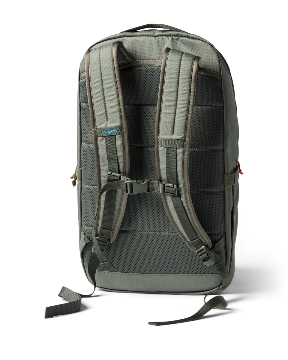 Cotopaxi Chiquillo 26L Backpack in Fatigue — back view