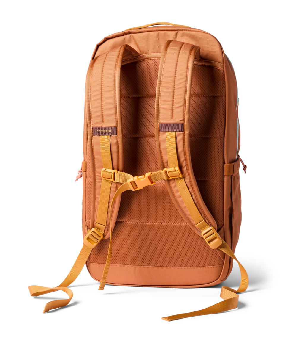 Cotopaxi Chiquillo 26L Backpack in Whiskey — back view