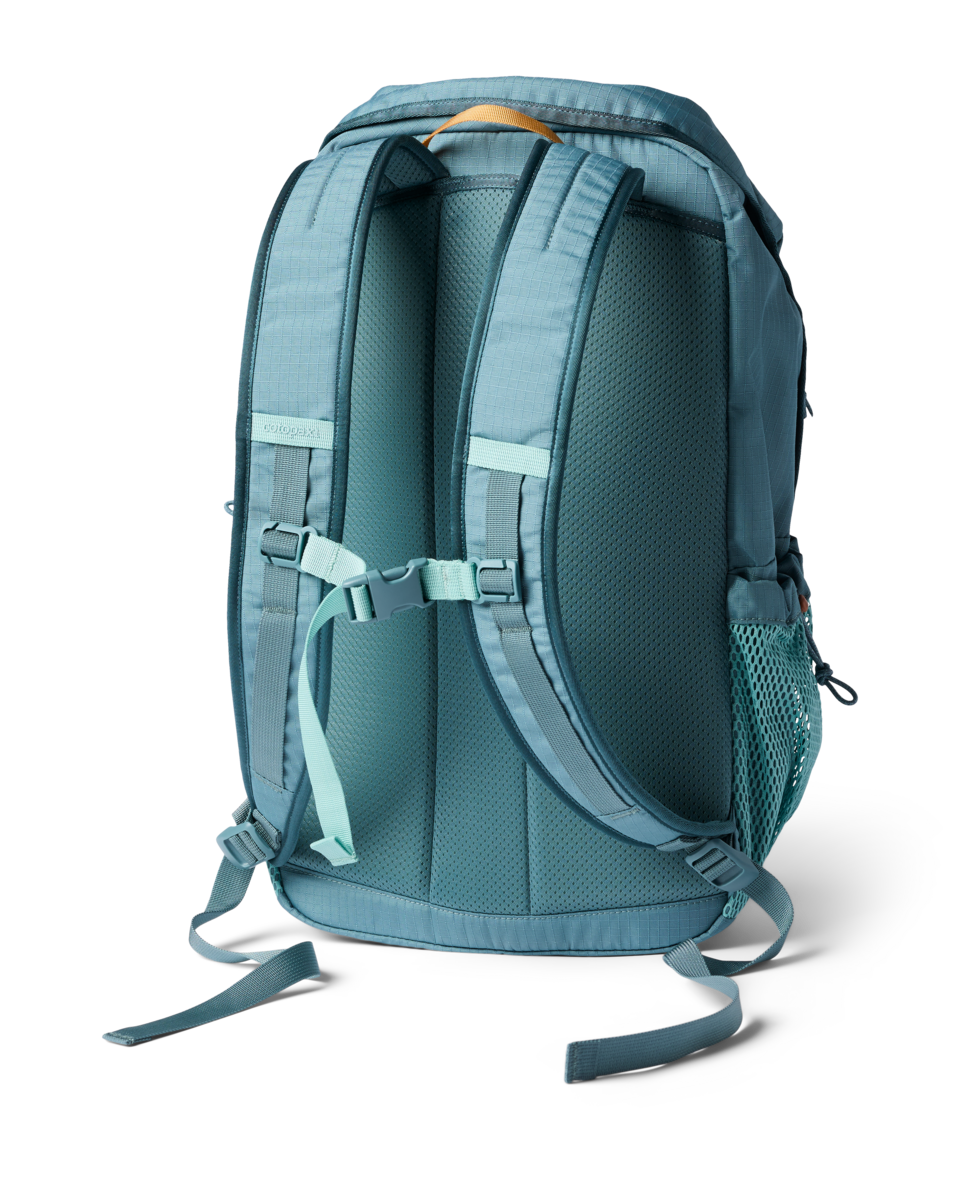 Cotopaxi Clase 28L Daypack in Everglade — back view